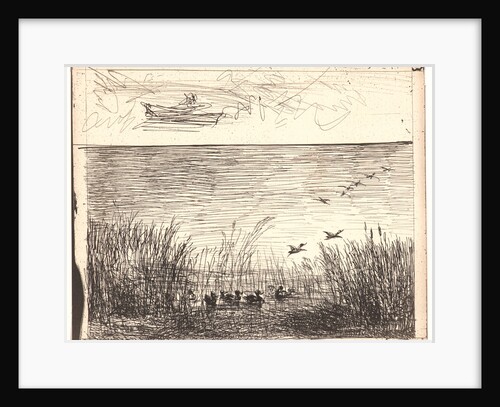 Le Marais aux Canards, 1862 by Charles François Daubigny