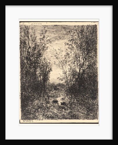 Le Ruisseau dans la Clairière, 1862 by Charles François Daubigny
