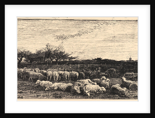 Le Grand Parc a Moutons, 1862 by Charles François Daubigny