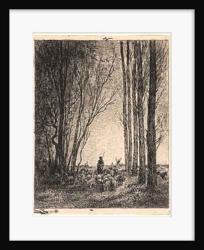 La Rentrée du Troupeau, 1862 by Charles François Daubigny