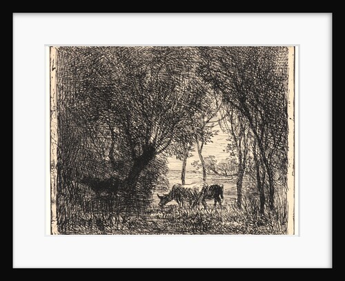 Vaches sous Bois, 1862 by Charles François Daubigny