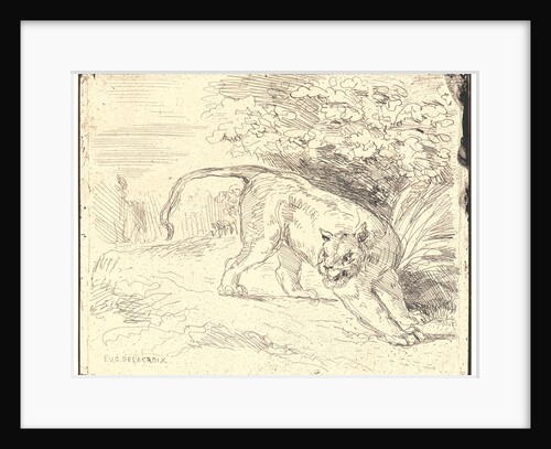 Tigre en Arret, 19th century by Eugène Delacroix