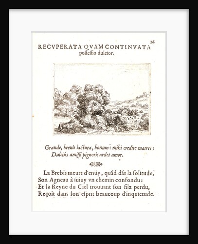 La Brebis Appelant son Agneau, 17th century by Jacques Callot