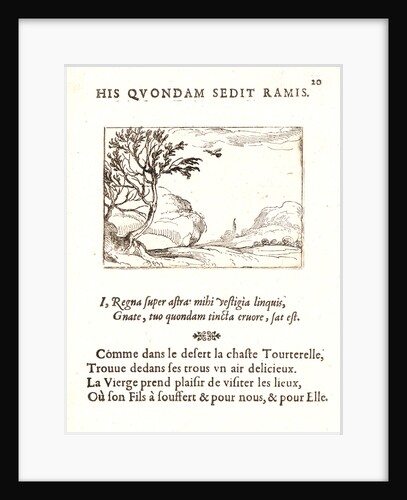 Tourterelle Volant dans le Desert, 17th century by Jacques Callot