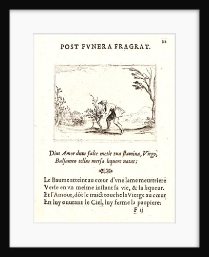 Homme Coupant Baumier, 17th century by Jacques Callot