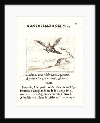 L'Aigle et L'Aiglon, 17th century by Jacques Callot