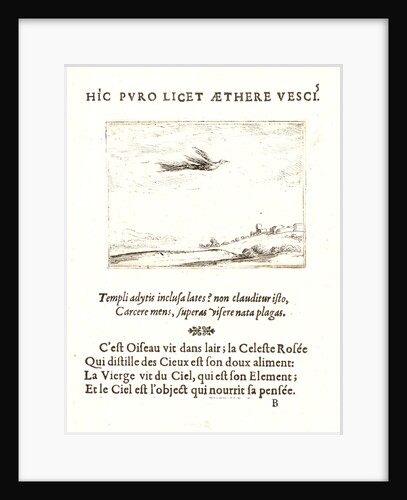 L'Oisseau de Paradis, 17th century by Jacques Callot