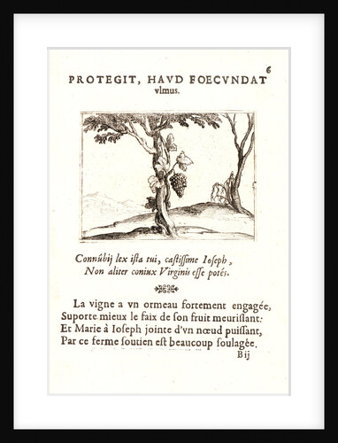 Le Cep de Vigne, 17th century by Jacques Callot