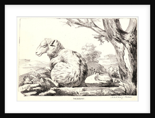 Merinos, 1818 by Jean-Paul Alaux