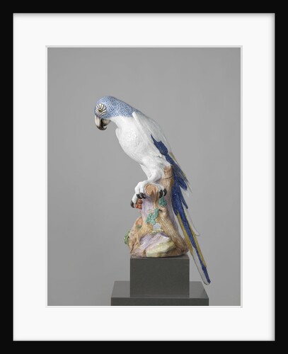Blue Macaw by Johann Joachim Kändler