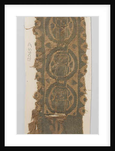 Tissue Fragment with clavus by Anonymous