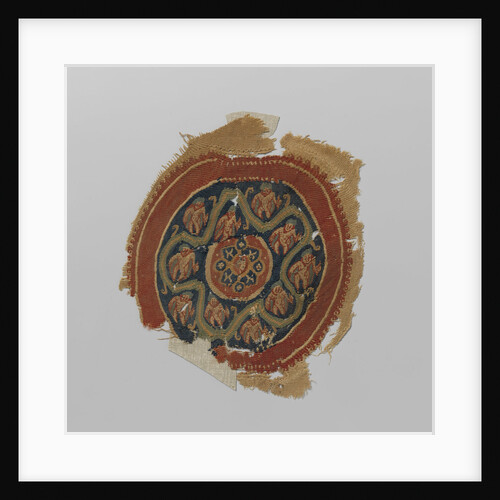 Tissue Fragment with orbiculus by Anonymous