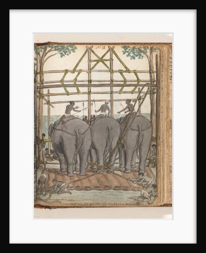 Elephants by Jan Brandes