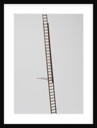 Model of a ladder by Petrus van der Loo