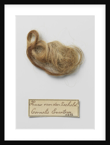 Hair found in the tomb of Cornelis Evertsen by Francisco Enriquez