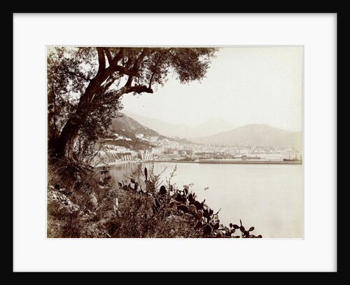 View of Salerno Italy and its harbor by Fratelli Alinari