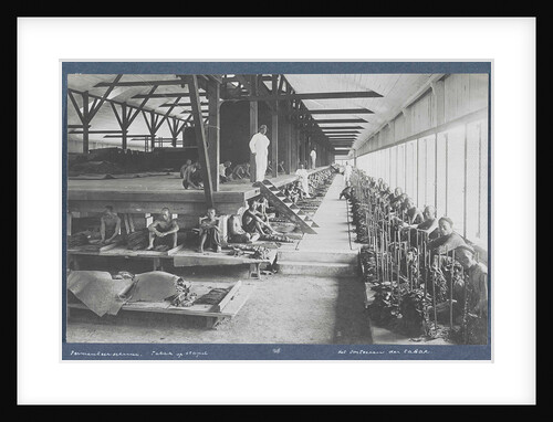Sorting tobacco by Carl J. Kleingrothe