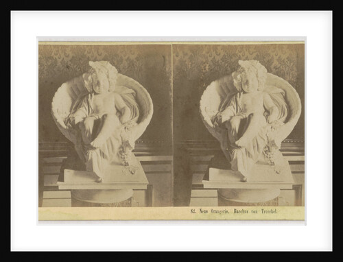 Neue Orangerie. Bacchus von Troschel by Sophus Williams