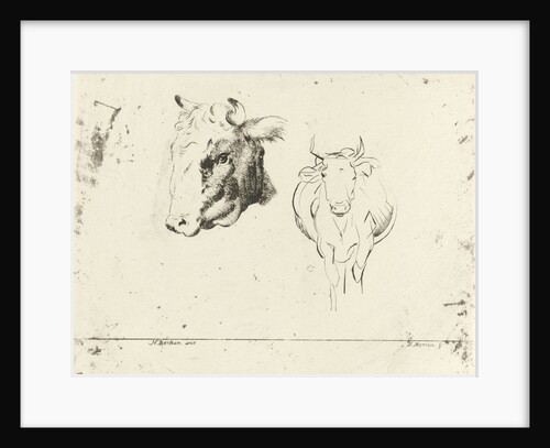 Study Sheet with a cow and a cow seen from the front by D. Merrem