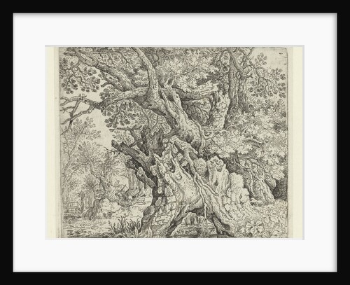 Gnarled Trees near the Water by Roelant Savery