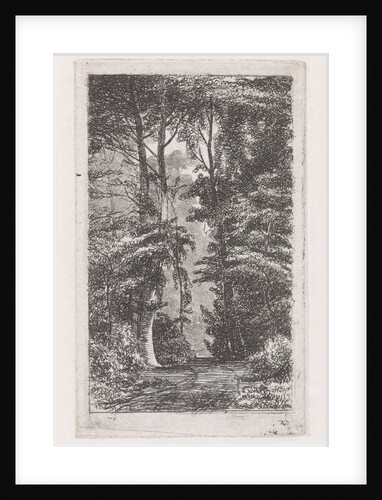 Forest avenue by Jacob Jan van der Maaten