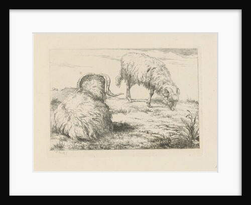 Two rams in the meadow by Pieter Gerardus van Os
