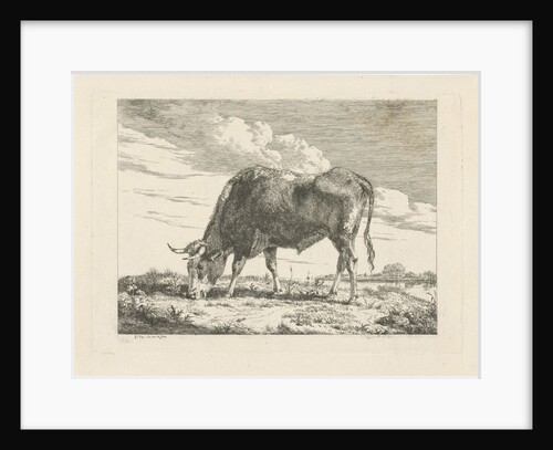 Grazing Cow by Pieter Gerardus van Os