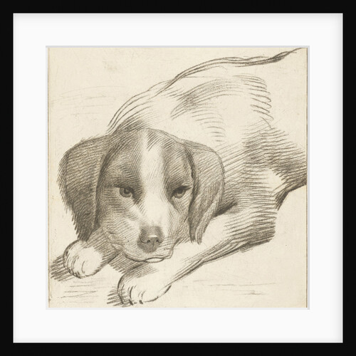 Dog, Cornelis van Noorde by Cornelis Visscher II