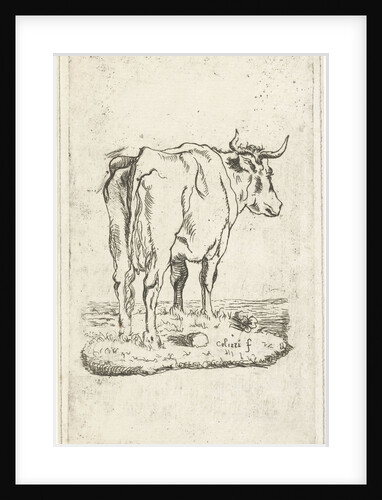 Standing cow by Johan Antoni Kauclitz Colizzi