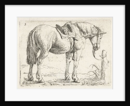 Horse, Jan van Aken by Jochem Bormeester