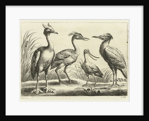 Four waders by Francis Barlow
