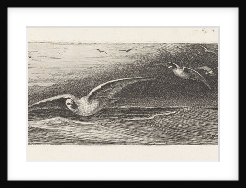 Seagulls by Jacobus Hermanus Otterbeek