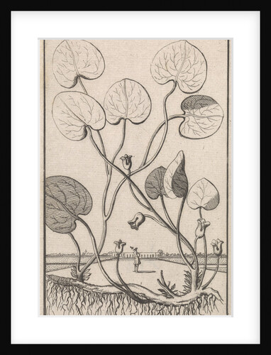 Mansoor, Caspar Luyken by Jan Claesz ten Hoorn