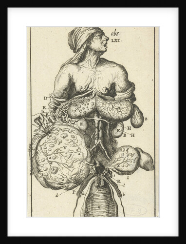 Anatomic image II by Jan Claesz ten Hoorn