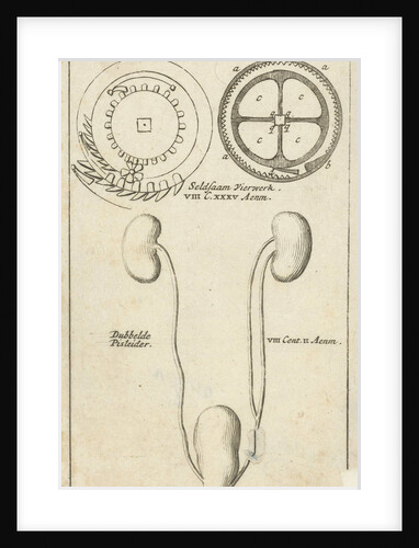 anatomic image XXI by Jan Claesz ten Hoorn