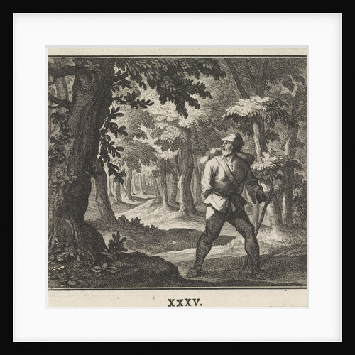 Emblem forest by Christoph Weigel