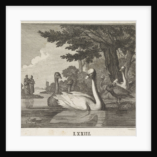 Emblem Swan by Christoph Weigel