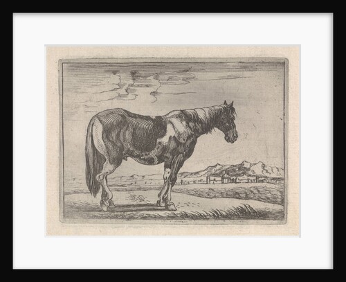 Single horse by G. Quineau