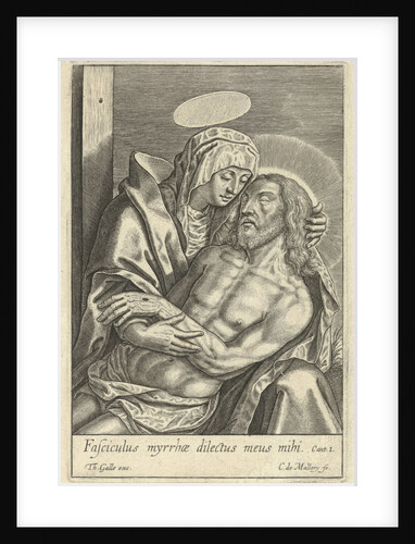 Pieta by Theodoor Galle