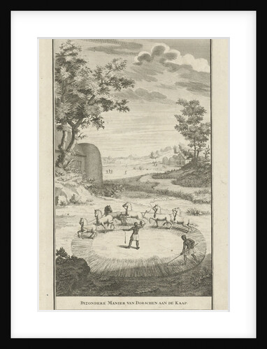 Hottentots threshing by Jan Caspar Philips