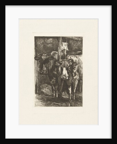 Two cows in the barn by Gerard Jan Bos
