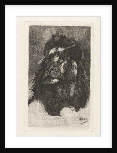 Head of a lion by Gerard Jan Bos