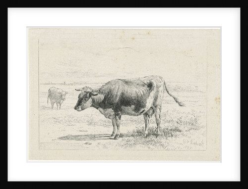 Two cows in a meadow by Dirk van Lokhorst