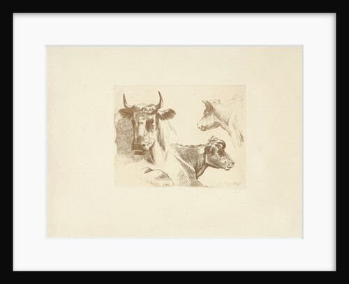 Three cow heads by Hendrik Stokvisch