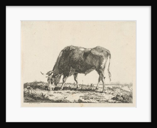 Grazing bull by Pieter Gerardus van Os