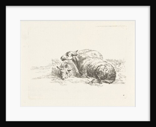 Two lying sheep by Gerard Valck