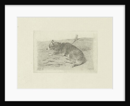 Lying dog from side by Frans Lebret
