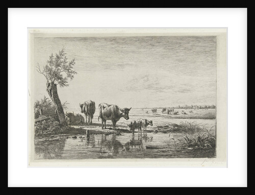 Meadows with cows at water by Simon van den Berg