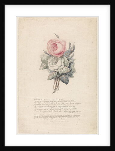 Roses by Marten Westerman