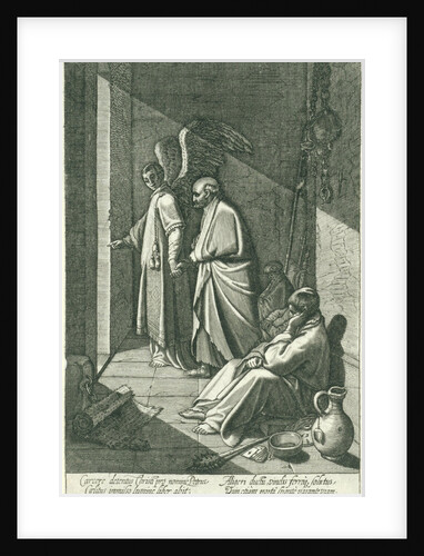 Liberation of Peter by I. Semmius